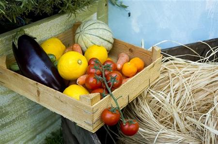 Prodotti Biologici Agricoltura