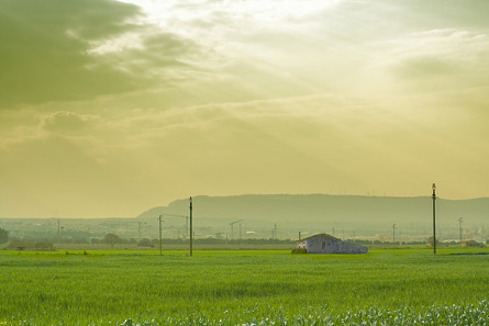 Fiere Agricoltura