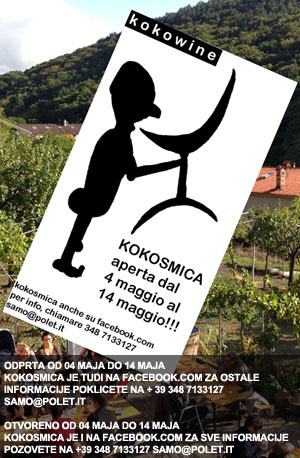 Motocoltivatori usati in calabria Motocoltivatori usati in calabria